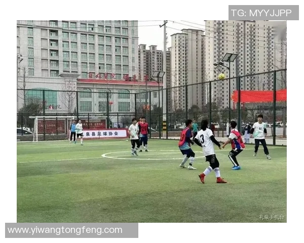 陕西礼泉足球明星盘点及其对地方足球发展的影响分析